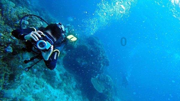 首届城市新能源高峰论坛在昌平区举办